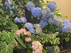 -花二家·生活馆(六运小区店)