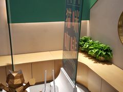 -飞行喵MR PILOT|猫舍·猫咖(静安大融城店)