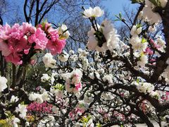 -玲珑塔公园