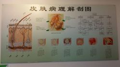 android_upload_pic-宜肤清颜专业祛痘问题肌修护
