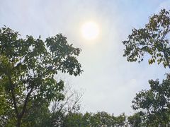 -蜀冈西峰生态公园