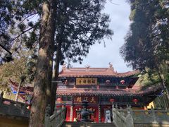 -东天目山风景区