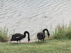 -梅州天地人花园酒店(梅县人民广场店)