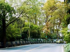 -南山植物园