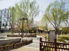 -西海子公园