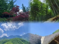 -中国大竹海景区