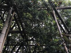 -无锡城中皇冠假日酒店·芳园中餐厅