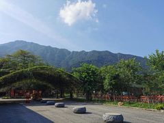 -牛鱼嘴原始生态风景区