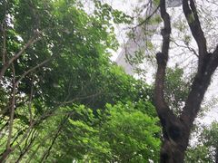 -陕西广播电视塔