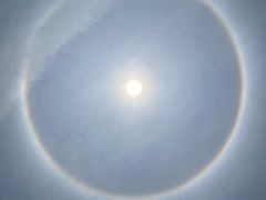 -红树湾(地铁站)