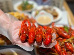 -杨氏青龙虾·羊蝎子(托乐嘉店)