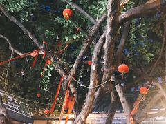 -董立兵烤鸭店(明湖店)