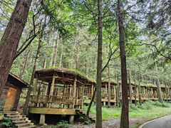 -武陵山森林公园