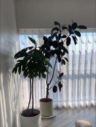 -HEYAN荷妍专业脱毛连锁机构