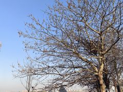 -灞河西岸滨河公园