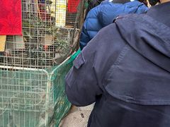 -同记鸡粥粉面店