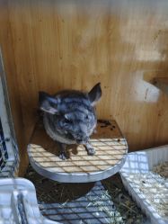 -酷嗒动物文化乐园(cutezoo西溪乐天城店)