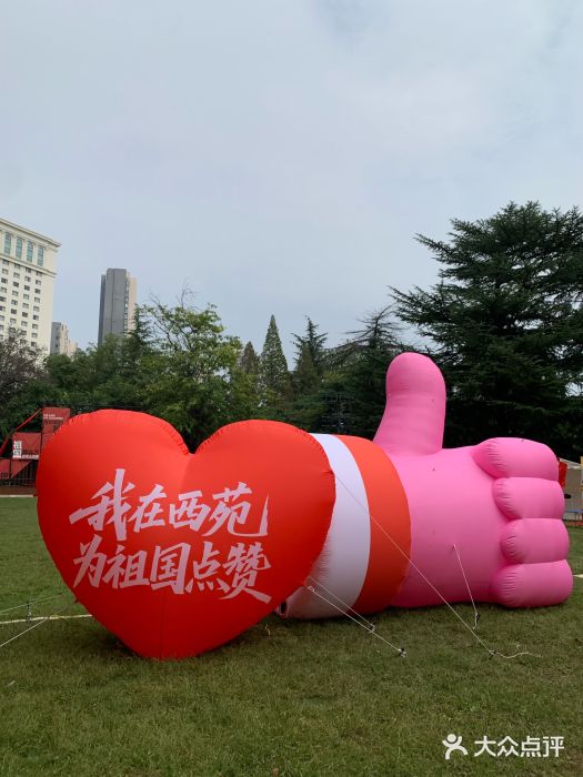 西苑公园图片
