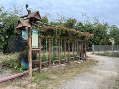 -长鹿旅游休博园