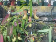 -国家植物园南园