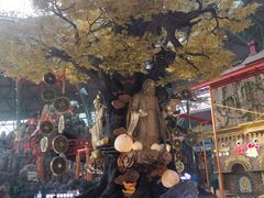 -东方山水乐园山之王国(全室内)