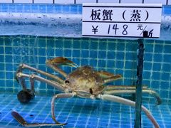 -震海贝烤贝·民俗特色店(延吉总店)