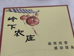 -岭下农庄·农家菜·野生大头鱼·公司团建(福永凤凰山店)
