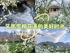 -中国茶叶博物馆(双峰馆区)