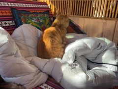 -四姑娘山阿巴郎·藏式花园餐厅