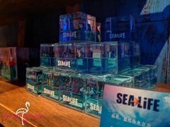 -沈阳海洋探索中心