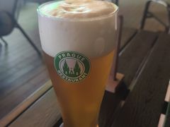 皮尔森黄啤-布拉格餐厅· 中欧捷克菜(全国首店)