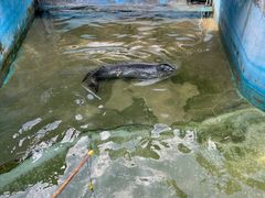 -合肥野生动物园
