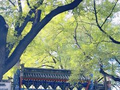 -北京国子监胡同
