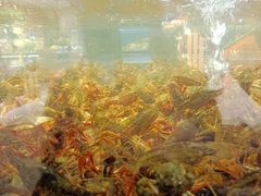 -盒马鲜生(双清路店)