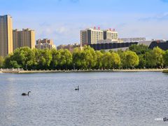 -长春世界雕塑园冰雪艺术天地