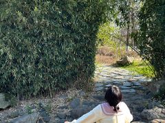 -白塘生态植物园