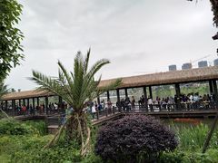 -枫香湖儿童公园