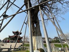 -观潮胜地公园