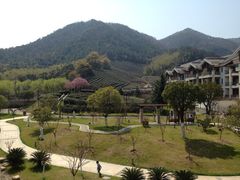 iphone_upload_pic-余姚阳明温泉山庄
