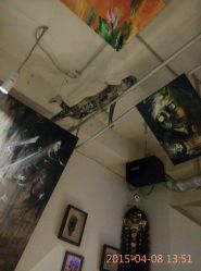 -周忆刺青原创设计定制