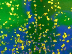 -福州罗源湾海洋世界旅游区