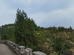 -府君山公园