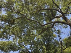 -湖南省立第一师范学校旧址