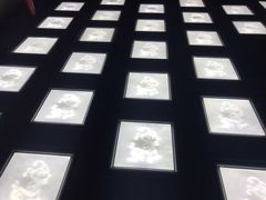 -MOJO密室逃脱(中街旗舰店)