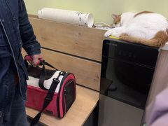 -瑞鹏宠物医院·宠保定点·心脏科·内科(御桥分院)