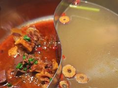 -掂档潮汕牛肉火锅(沈阳万象城店)