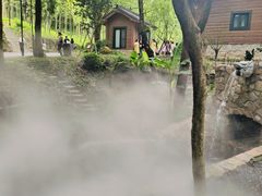 -东明山森林公园