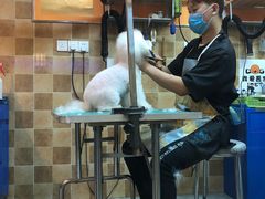 -我爱吾宠宠物美容院(朝阳路店)