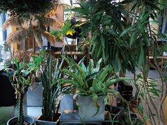 -腾爱熊猫咖啡生活馆(老东门店)