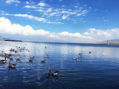 -青海湖国家重点风景名胜区